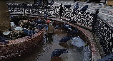 Edirne'de dondurucu soğuk etkili oldu: Süs havuzları buz tuttu