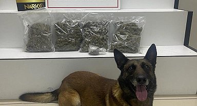 Edremit'te 2 kilo 118 gram uyuşturucu ele geçirildi