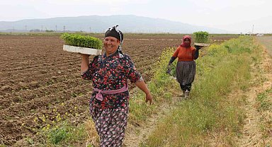 Efeler'de 'Yüzde Yüz Kadın Emeği Tarımsal Ürün Fabrikası' Türkiye'ye örnek oluyor