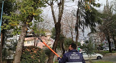 Efeler'in ekipleri park ve bahçelerde bakım çalışması yapıyor