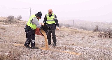 Elazığ Belediyesi yaban ve sokak hayvanları için çalışma başlattı