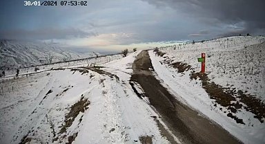 Elazığ'da aç kalan kurtlar köye indi
