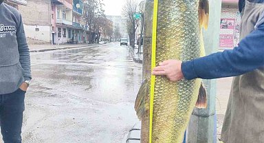 Elazığ'da ağa takılan yaklaşık 2 metrelik dev turna şaşırttı: tam 28 yaşında