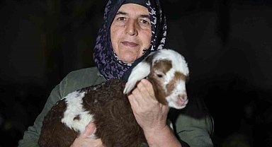 Elazığ'da yeni yılın ilk kuzuları dünyaya geldi