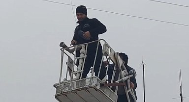 Elektrik teline takılan güvercin kurtarılarak doğaya salındı