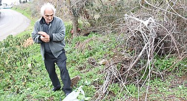 Emeklinin doğa tutkusu: Yenilebilen otları toplayarak sağlıklı yaşamı destekliyor