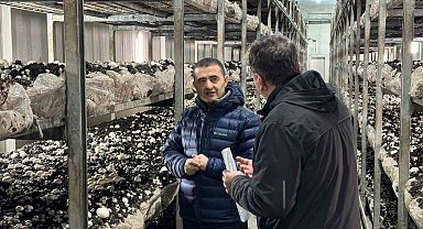 Emirdağ OSB'deki işletmeler faaliyetlerine devam ediyor