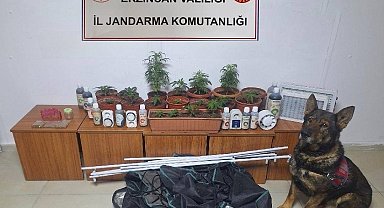 Erzincan'da jandarma ekipleri suç ve suçluya geçit vermiyor