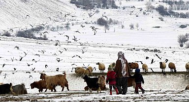 Erzincan'da "Köyümde Yaşamak İçin Bir Sürü Nedenim Var" projesi ile 179 üretici hayvan varlığını artırdı