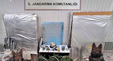 Erzincan'da uyuşturucu operasyonu: 3 kişi gözaltına alındı