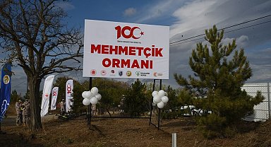 Eskişehir Orman Bölge Müdürlüğü 2023 yılında 1 milyon 264 bin fidan dikti