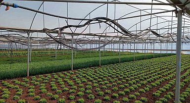 Eskişehir'de Kırsal Kalkınma Destekleri başvuruları başladı