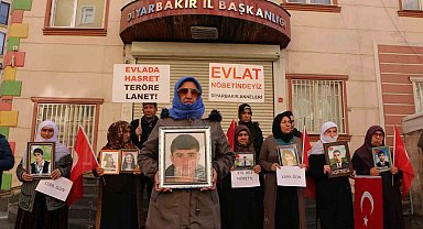 Evlat mücadelesindeki aile sayısı 374 oldu