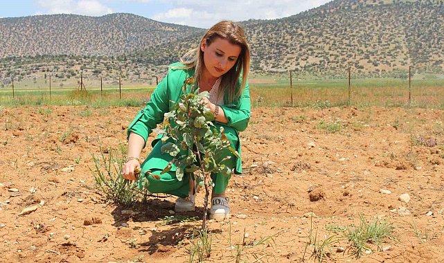 Fide, fidan, tohum destekleriyle ekonomik kayıplar önlendi