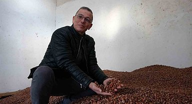 Fındık fiyatındaki dalgalanmadan üretici de tüccar da memnun değil