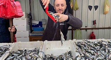 Fiyatların artışı balığa olan ilgiyi azalttı