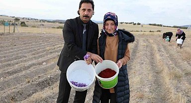 Genç çiftçi adayına altın dokunuş