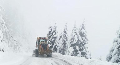 Giresun'da 45 köy yolu kar nedeniyle ulaşıma kapandı