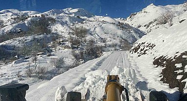 Hakkari'de 9 yerleşim yerinin yolu ulaşıma kapandı