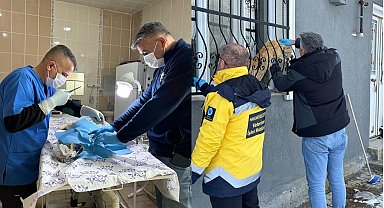 Hakkari'de sahipsiz kediler tedavi altına alındı