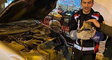 Iğdır'da otomobilin motoruna sıkışan yavru kedi kurtarıldı