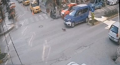 İki aracın ezdiği kedinin imdadına koştu ama büyük şok yaşadı