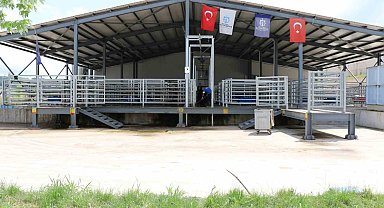 İnsan sağlığını koruyan teknoloji ile seri ve helal kesim