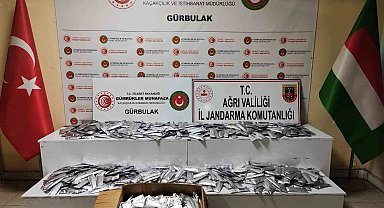 İran sınırında değeri 2 milyon 750 bin lira olan botoks ele geçirildi