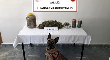 Jandarma 1 kilo 868 gram esrar ele geçirdi