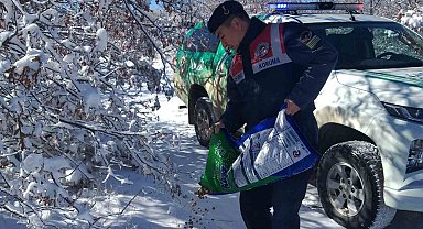 Jandarma ekipleri yaban hayvanları için yem bıraktı