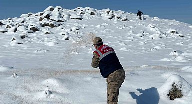 Jandarma yaban hayvanlarını unutmadı
