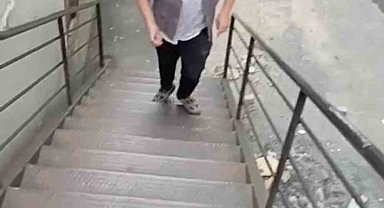 Kağıthane'de tepki çeken görüntüler: Biri kediye taş attı diğeri o anları kameraya aldı