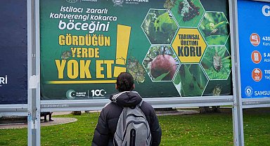 Kahverengi kokarcayla mücadele billboardlarda: "Gördüğün yerde yok et"