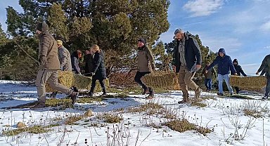 Kar altındaki Spil'de yaban hayatı unutulmadı