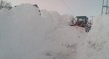 Kar ve tipi Posof'u esir aldı