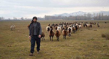 Kar yağmaması besicilere tasarruf sağlıyor