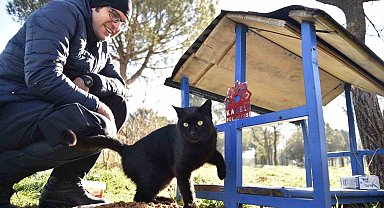 Karesi'de sokak hayvanları kış aylarında yalnız değil