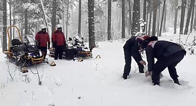 Kars'ta jandarma yaban hayvanlarına yiyecek bıraktı
