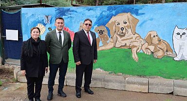 Kaymakam Kaya, Marmaris Geçici Hayvan Bakımevi'ni gezdi