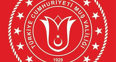 Kediye işkence edilen görüntülerin Muş'ta kayıt altına alınmadığı tespit edildi
