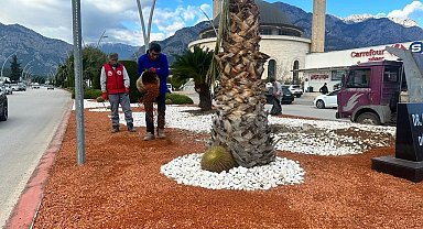 Kemer yeşil alan çalışmalarıyla yaz sezonuna hazırlanıyor