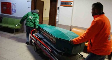 Kesilen ağacın altında kalan çiftçi hayatını kaybetti