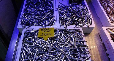 Kilosu 150-180 TL arasında satılan hamsi fiyatıyla şaşırtıyor