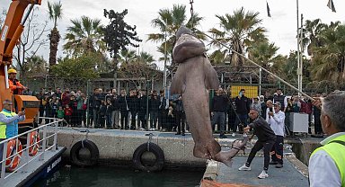 Kıyıya vuran köpek balığının nesli tehlike altında tür olduğu belirlendi