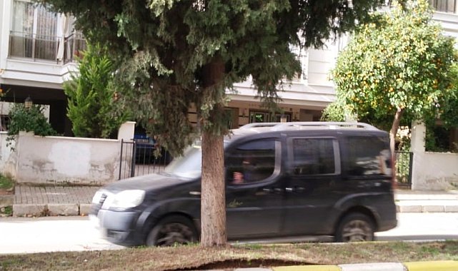 Köklerinden ayrılan ağaç tehlike oluşturuyor