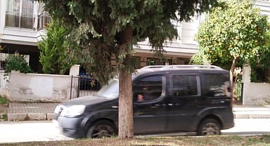 Köklerinden ayrılan ağaç tehlike oluşturuyor