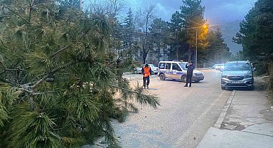 Konya'da şiddetli fırtınada 1 kişi yaralandı