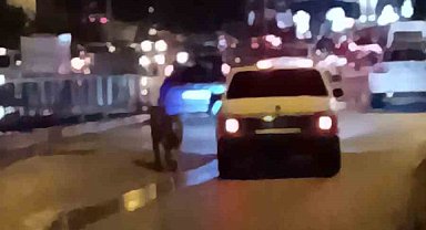 Köpeği arabanın peşinden koşturan sürücü kamerada