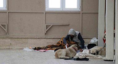 Köpekleriyle şadırvanı mesken tuttu, cami cemaati abdest alamaz oldu