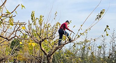 Köşk Belediyesi, yeşil alanların bakım çalışmalarını sürdürüyor